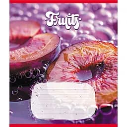 Зошит учнівський "Фрукти" Leader 012-500028K-4 в клітинку, 12 аркушів (959050)