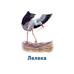 Настільна гра Парочки: Світ тварин Ранок 1392003, 6 ігор - мініатюра 6