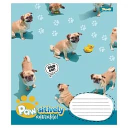 Набір зошитів 1 вересня Pawsitively А5, 18 аркушів 25 шт. (768239) - мініатюра 4