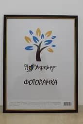 Фоторамка 30х42, коричнева із золотою вставкою, 1511-В84, СКЛО + ДВП                                                                                                                                                                                                                                                                                                                                             