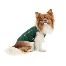Борцовка Kale Pet Fashion для собак XS2 зелена - мініатюра 2