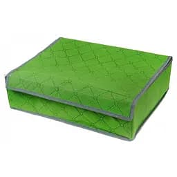 Органайзер для белья Supretto салатовый 27 х 36 х 11 см (5689-0001)