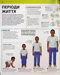 Енциклопедія знань. Тіло людини - мініатюра 13