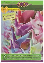 Картон цветной ZiBi Kids line, двусторонний, двухцветный, 10 листов (ZB.1952)