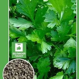 Насіння Agro-Market Петрушка Бо гатир F1 Великий пакет 7 г (32597)