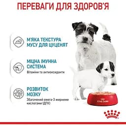 Вологий корм для вагітних собак і цуценят Royal Canin Starter Мother & Вabydog Мousse 195 г (4077002) - мініатюра 4