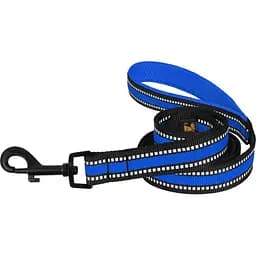 Поводок для собак BronzeDog Mesh, размер L, 200х2,5 см, синий