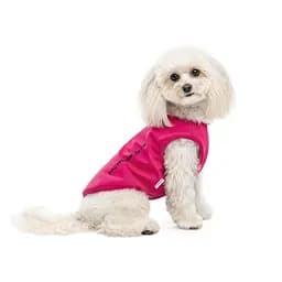 Боротьба Kale Pet Fashion для собак XS малина - мініатюра 2