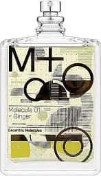 Туалетная вода Escentric Molecules Molecule 01 + Ginger Тестер 100 мл 