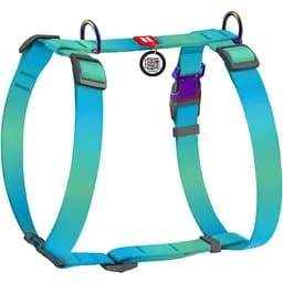 Шлея для собак Waudog Nylon Recycled анатомічна H-подібна з QR паспортом S, 30х40 см блакитний