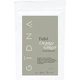 Чай трав'яний Gidna Roastery Tulsi Orange Ginger Помаранчевий імбир 70 г