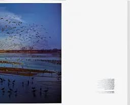 Stephen Wilkes. Day to Night - мініатюра 9