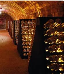 The Treasures of Champagne - мініатюра 5