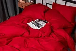 Підковдра Moon&Star Satin Stripe Stripe Red Двоспальна 175x210 см - мініатюра 5