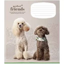 Зошит учнівський Школярик Perfect friends в клітинку 12 аркушів 30 шт. (012-3250K) - мініатюра 4