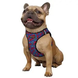 Шлея для собак Bronzedog Sport Vest Вишні XXS 15х13х3 см синя - мініатюра 3