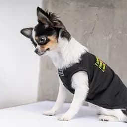 Боротьба Pet Fashion FBI для собак, розмір S, чорна - мініатюра 5