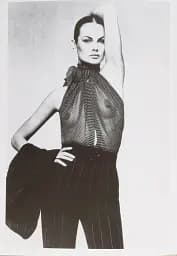 Sheer. Yves Saint Laurent: The Diaphanous Creations of Yves Saint - мініатюра 9