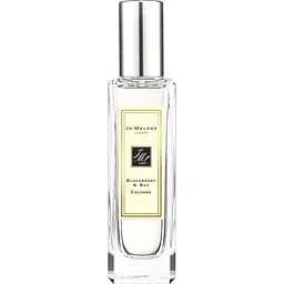 Одеколон Jo Malone Blackberry & Bay 30 мл Без коробки