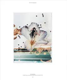 Flora Photographica - мініатюра 17