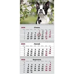 Календарь настенный Axent Dogs 2 на пружинах квартальный на 2026 год (8803-26-17-A)