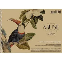 Альбом Muse Drawing на спіралі A4 30 аркушів в асортименті (PB-SC-030-318)