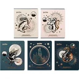 Набор тетрадей Kite Harry Potter 48 листов в клетку 10 шт. (HP25-259)