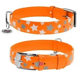 Нашийник для собак Waudog Glamour шкіряний з QR паспортом, візерунок Зірочка, світиться/світловідбиваючий, L, Ш 35 мм, Дов 46-60 см (4823089301433)