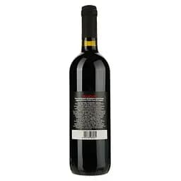 Вино Felline Anarkos Puglia Rosso IGP червоне напівсолодке 0.75 л - мініатюра 2