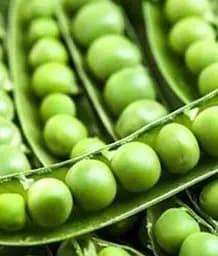 Горох Изумрудный жемчуг Весна, на вес, цена за 50 г (183849)