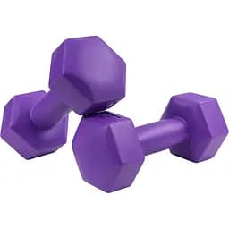 Гантели для фитнеса Hop-Sport HS-C010DH композитные 2х1кг