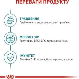 Набір вологого корму Royal Canin Ageing 11+ повнораціонний для котів віком від 11 років шматочки у соусі 1.02 кг (12 шт. х 85 г) - мініатюра 4