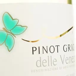 Вино Donini Pinot Grigio delle Venezie 12% біле сухе 0.75 л - мініатюра 3