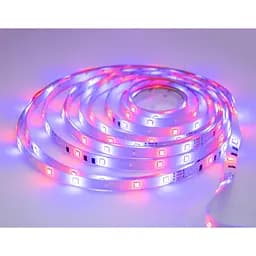Светодиодная лента RGB 3528, 4.5 м, белая, с пультом и блоком питания