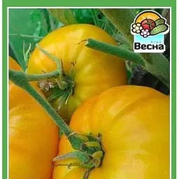 Семена Весна Томат Микадо желтый 0.1 г (10529)