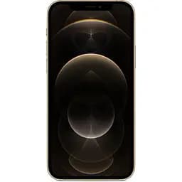 Смартфон Apple iPhone 12 Pro Max 128Gb Gold [MGD93] [50887] - мініатюра 2