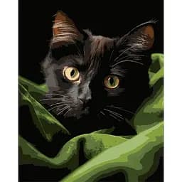 Картина по номерам Strateg Черный маленький котенок на черном фоне 40 x 50 см (AH1282)