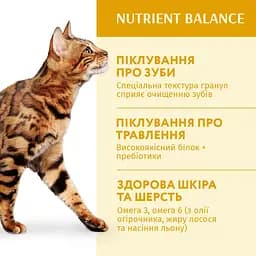 Сухий корм для дорослих котів Optimeal курка 10 кг (B1831201) - мініатюра 4