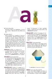 Dictionnaire Hachette Junior. CE-CM - мініатюра 3