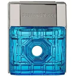 Парфюмерная вода Stefano Ricci Beverly Hills 100 мл