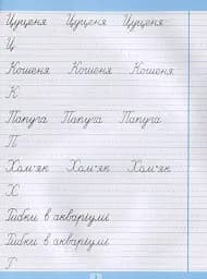 Тренажер для списування речень і текстів. Широка лінійка - мініатюра 4