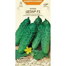 Семена огурца Семена Украины Цезарь F1, 0.5 г (607300)