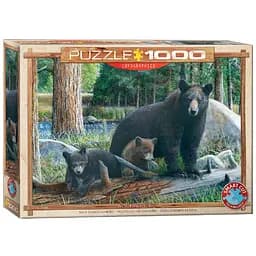 Пазл Eurographics Пізнаючи світ Кевін Даніель, 1000 елементів (6000-0793)