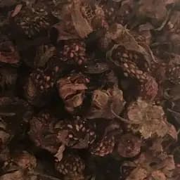 100 г земляника лесная сушеные ягоды/плоды сушеная - свежий урожай