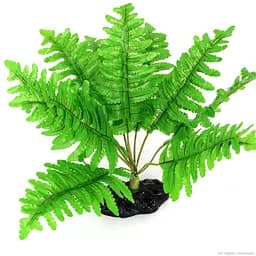 Штучна рослина, папороть Repti-Zoo Tropical Fern 22см (TP015) - мініатюра 4