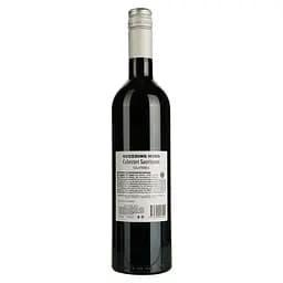 Вино Queering Mind Cabernet Sauvignon червоне сухе 0.75 л - мініатюра 2
