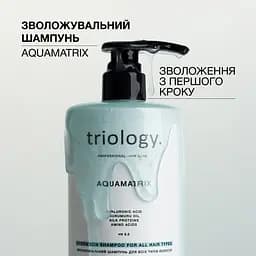 Зволожувальний шампунь для всіх типів волосся Aquamatrix Triology. - мініатюра 4