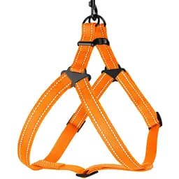 Шлея для собак Barksi Active світловідбивна (обхват грудей 40-53 см ширина 1.6 см) помаранчева