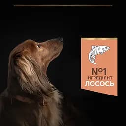 Сухий корм Purina Pro Plan Small & Mini Adult 1+ Sensitive Skin для дорослих собак дрібних порід з чутливою шкірою з лососем 700 г (12272469) - мініатюра 6
