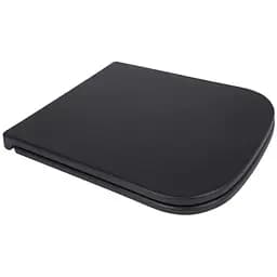 Сидения для унитаза Qtap Tern Matt Black с микролифтом Slim Duroplast, Quick Release QT99HY2322MB